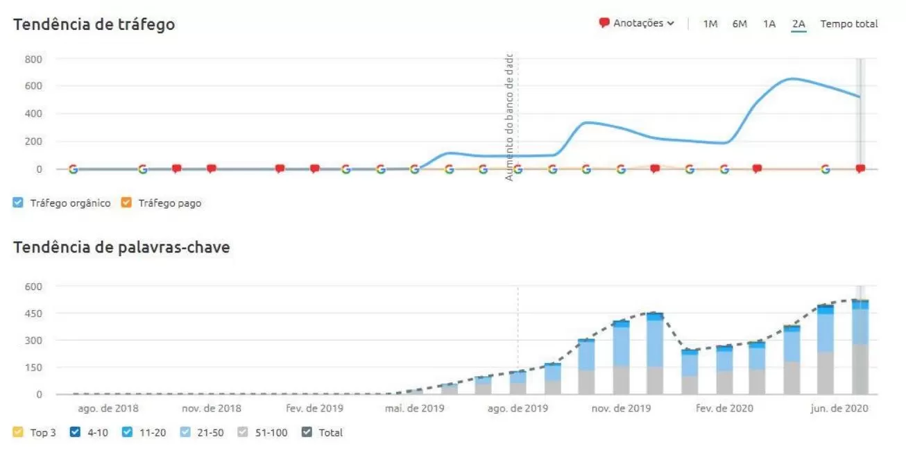 relatório de especialista em seo